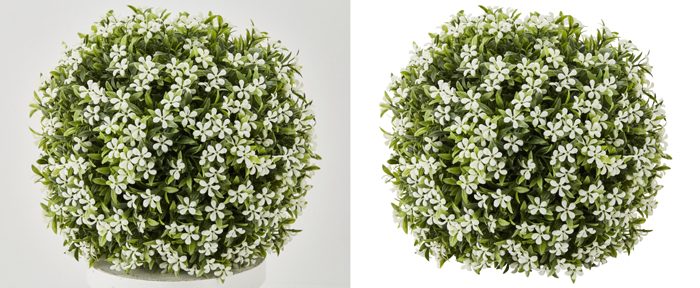 Image Masking Service