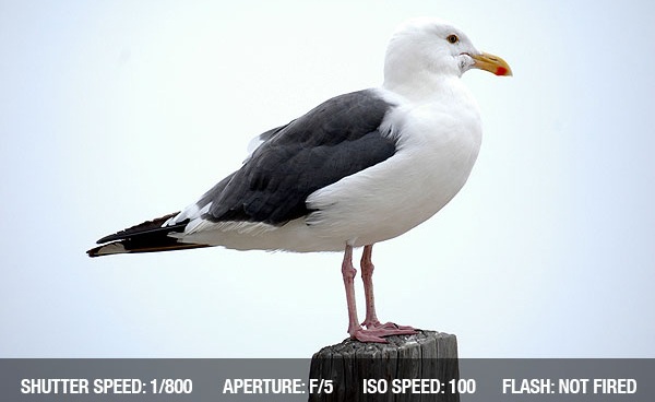 beach photography tips