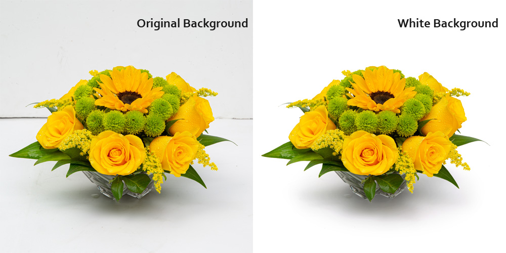 white background product photography tips for amazon sellers