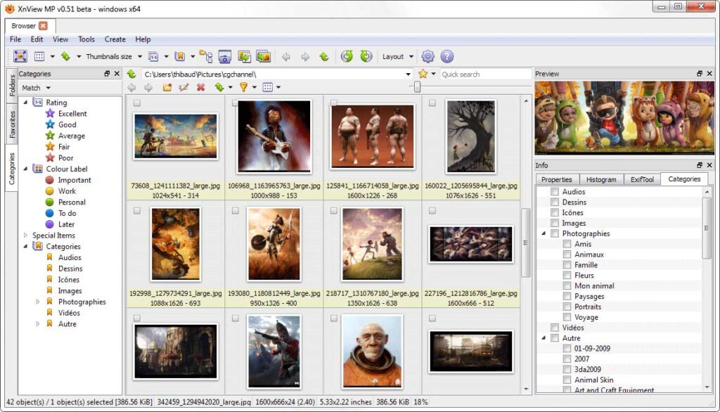 best photo management software XnViewMP