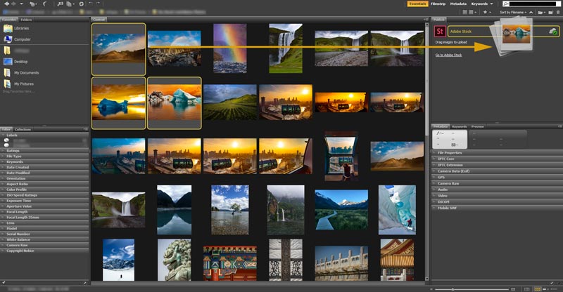 best photo organizer software bridge