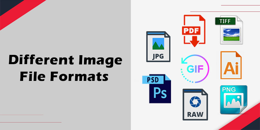 different file formats you should acknowedge