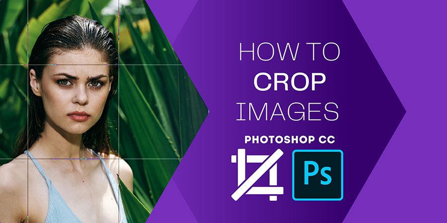 How to Crop Image in Photoshop cc in 2021 Banner Image