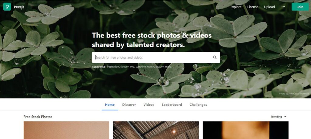 Pexels Free Stock Photo Sites