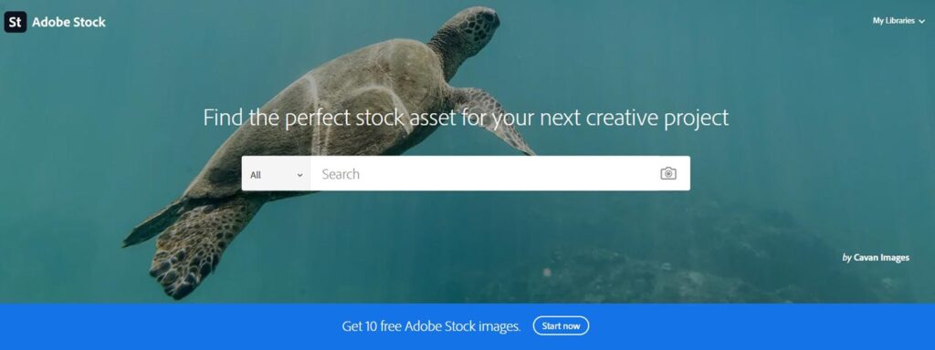 adobe stoke free photo s